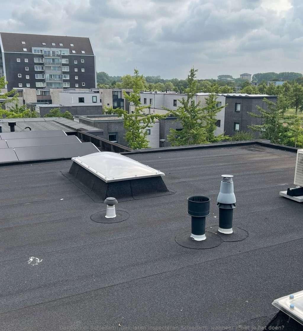 Dak Laten Inspecteren Schiedam