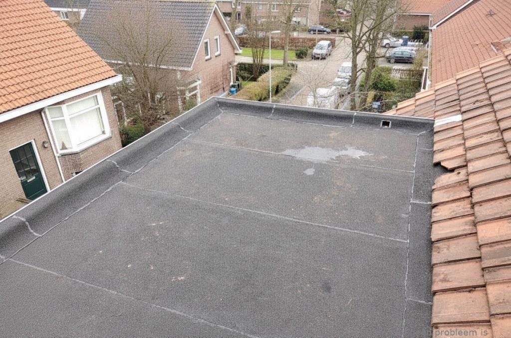 Dakdekker In Najaar Schiedam