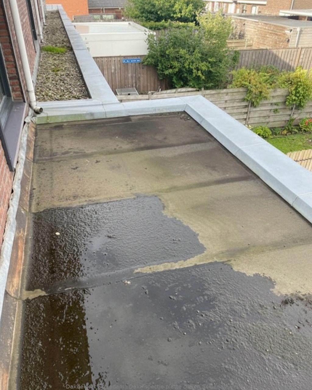 Dakinspectie Platte Daken Schiedam