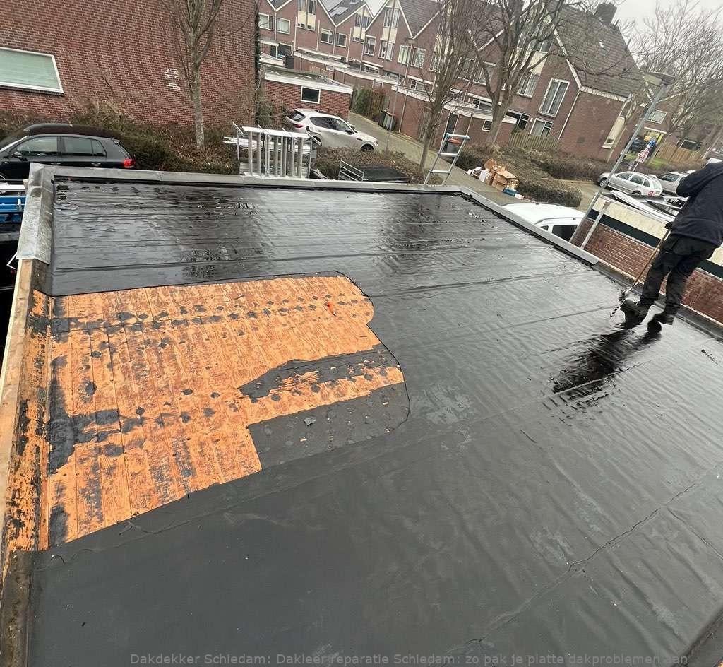 Dakleer Reparatie Schiedam