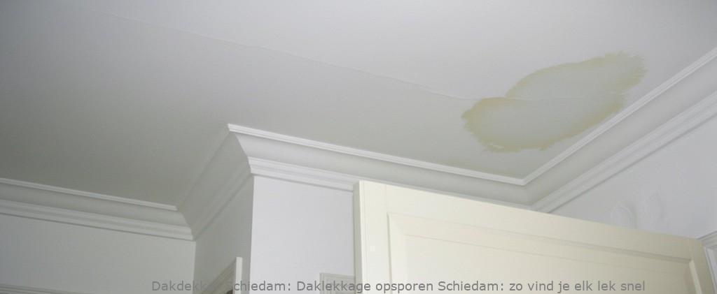 Daklekkage Opsporen Schiedam 1
