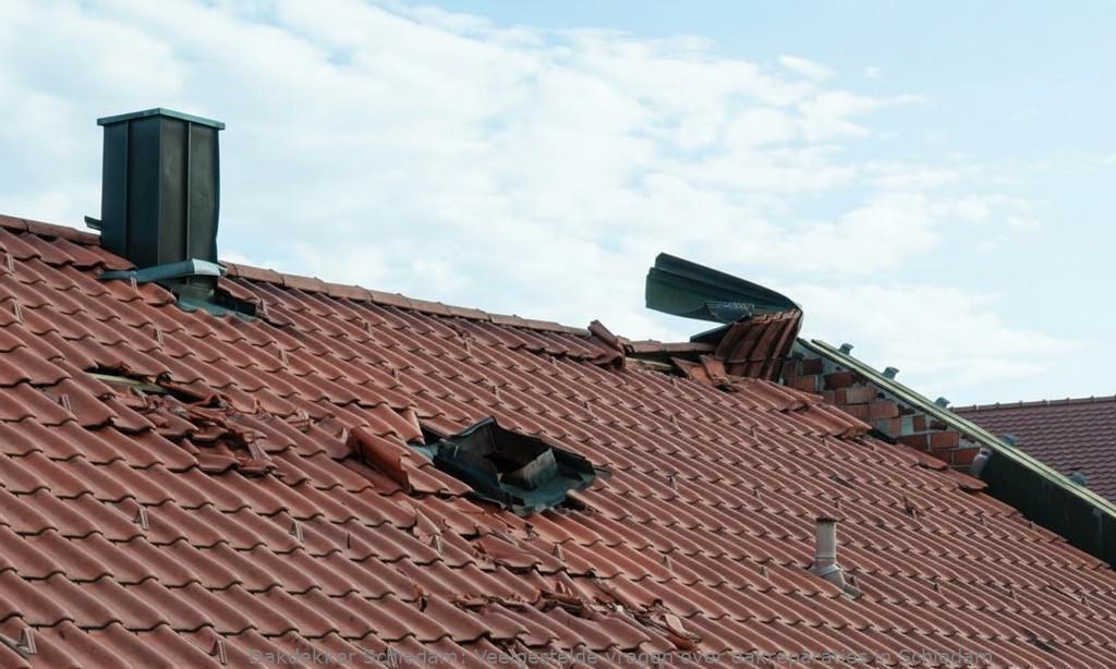 Dakreparaties Schiedam