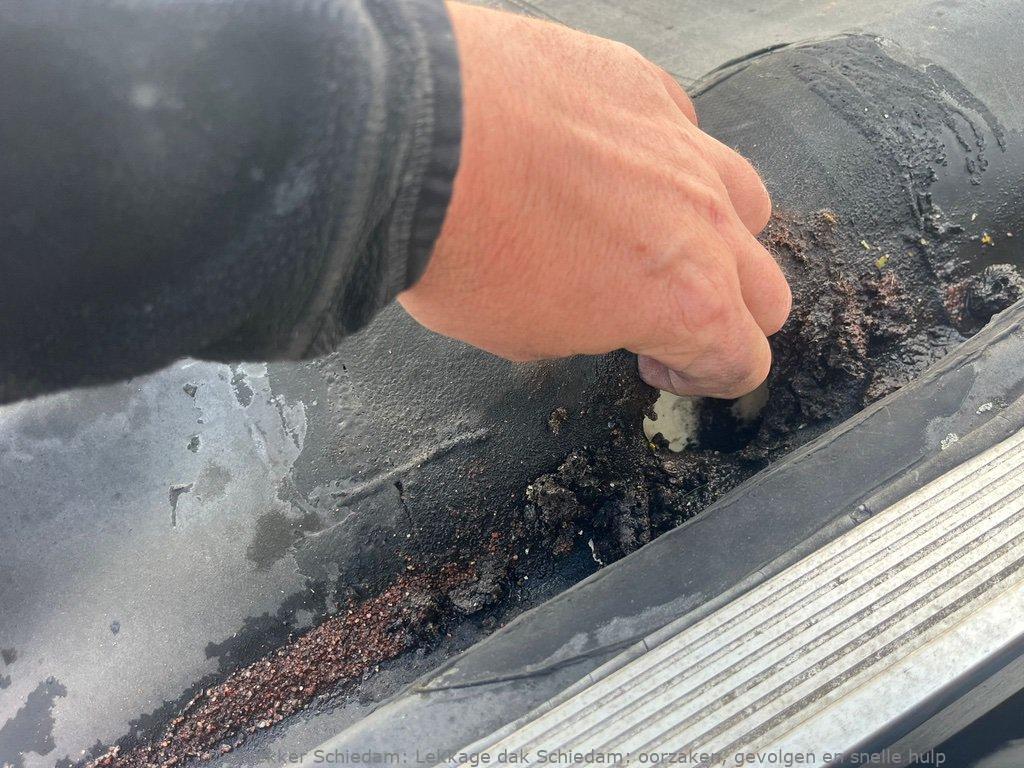 Lekkage Plat Dak Schiedam 1