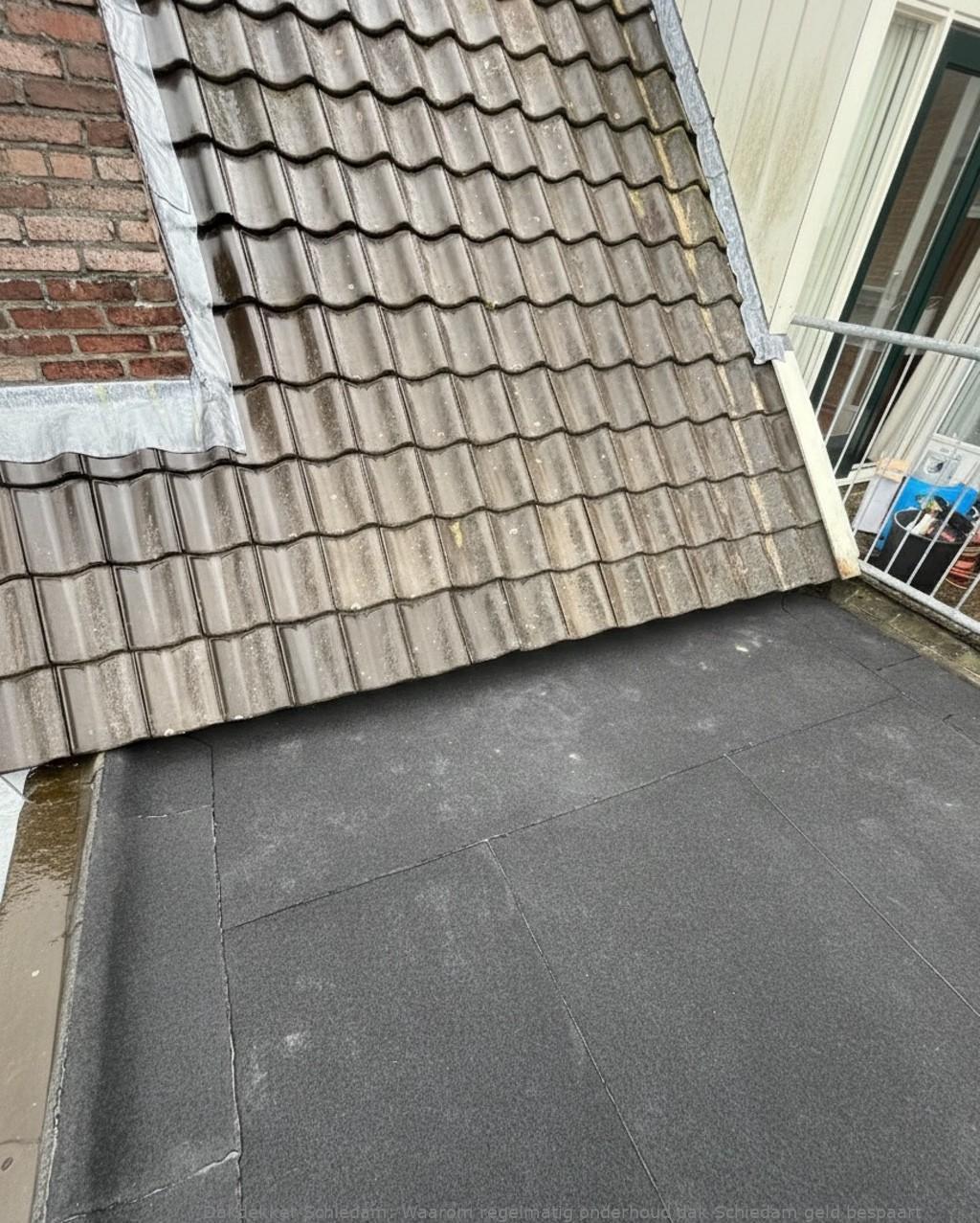 Onderhoud Dak Schiedam