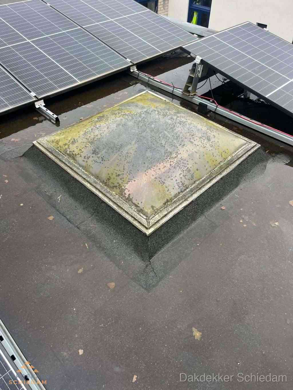 Opsporen Daklekkage Schiedam
