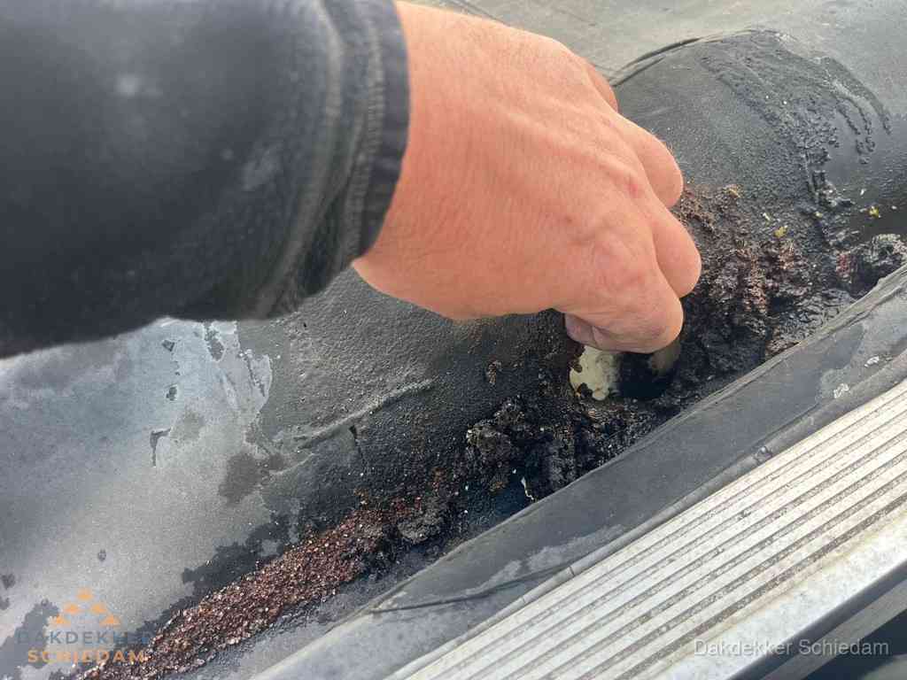 Plat Dak Reparatie Schiedam