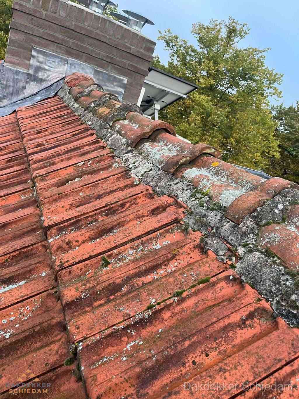 Renovatie Hellend Dak Schiedam