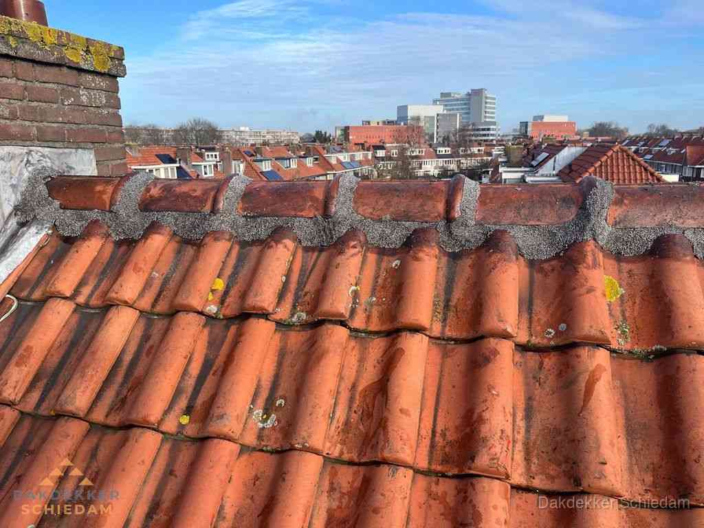 Schiedam Daken Renoveren